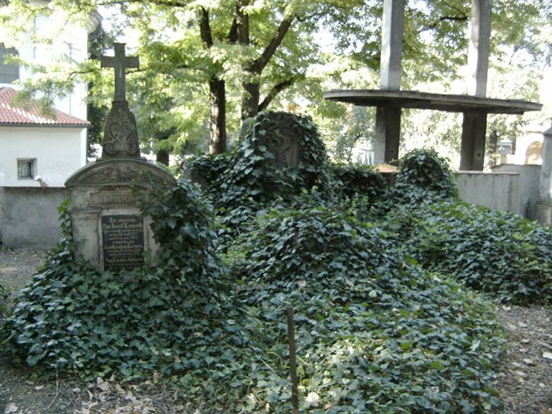 Overgrown Graves