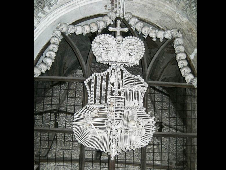 Český Coat-Of-Arms made of Bones