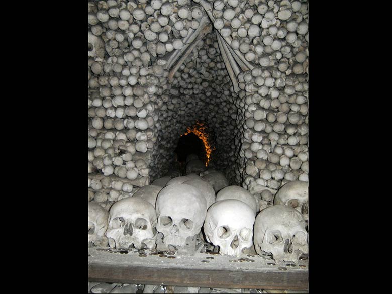 Thousands of Skulls and Bones